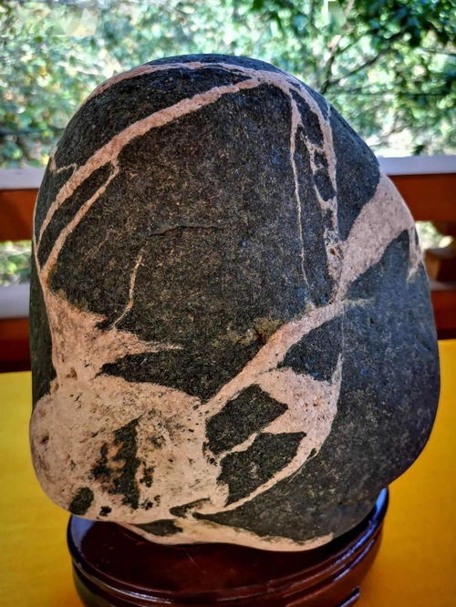 阜平縣第二屆雪浪石文化展 石韻天成，文蘊流傳